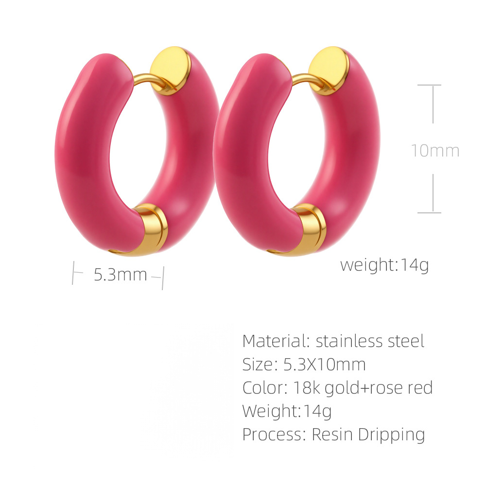 SUPERVALUECHOICE HCSETA00032 Full-circle resin earrings