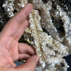 Trim-5FT-0022 / 5FT