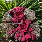 Dark red / 1 PCS