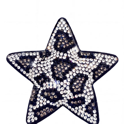 SUPERVALUECHOICE HCSESA00027 Sparkly Star Keychain & Brooch