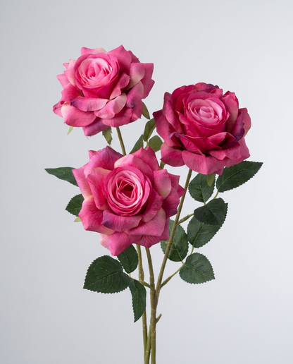 SUPERVALUECHOICE HCSERA00005 Fabric Rose Flower Appliques | DIY Handcraft Patches for Clothes, Hats & Brooch DIY