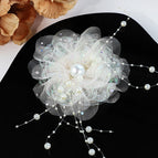 Apricot / 1 PCS
