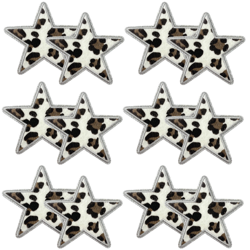 SUPERVALUECHOICE HCSEYSF00002 Assorted Western Leopard Pattern Word Star Lightning Embroidered Patch