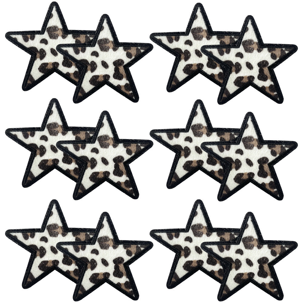 SUPERVALUECHOICE HCSEYSF00002 Assorted Western Leopard Pattern Word Star Lightning Embroidered Patch