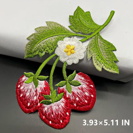 SUPERVALUECHOICE HCSEYB00042  Fruits Embroidered Fabric Patches