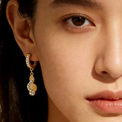 SUPERVALUECHOICE HCSETA00031  Music Note Earrings