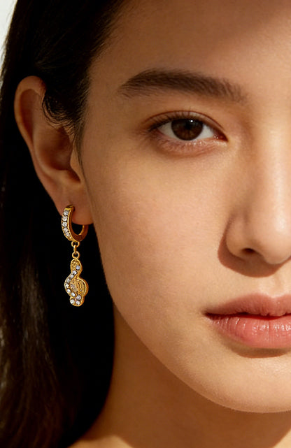 SUPERVALUECHOICE HCSETA00031  Music Note Earrings
