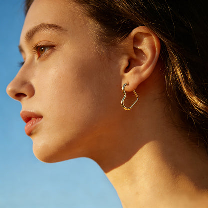 SUPERVALUECHOICE HCSETA00011 Stylish Geometric Earrings