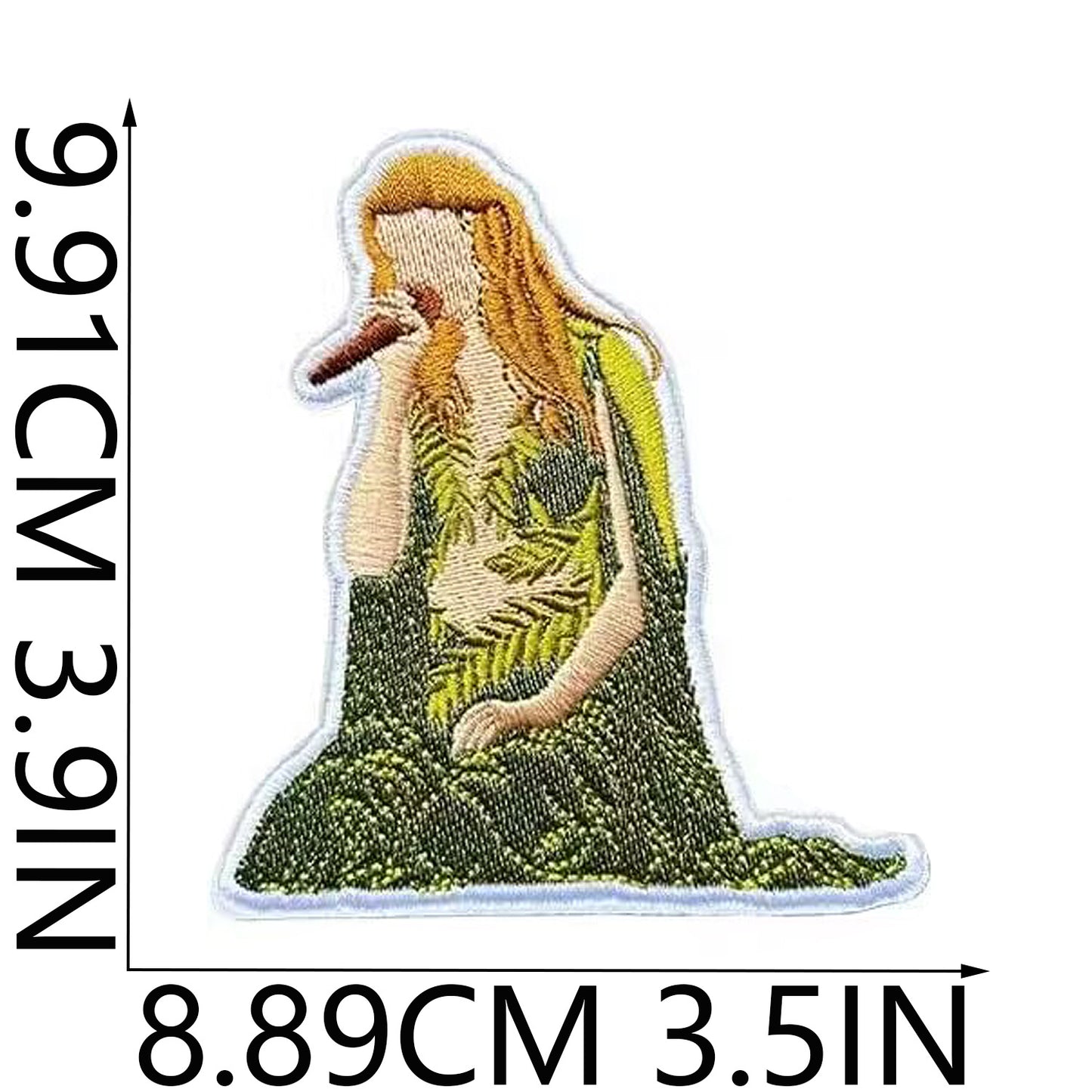 SUPERVALUECHOICE  HCSEYB00007 Taylor Swift Embroidered Fabric Patch