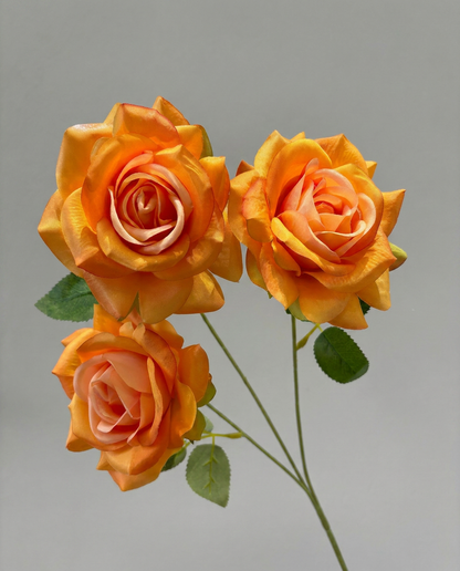 SUPERVALUECHOICE HCSERA00005 Fabric Rose Flower Appliques | DIY Handcraft Patches for Clothes, Hats & Brooch DIY