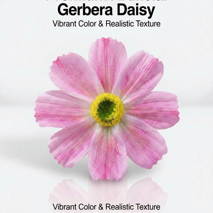 SUPERVALUECHOICE HCSERA00003 Fabric Gerbera Daisy Flower Appliques | DIY Handcraft Patches for Clothes, Hats & Brooch DIY