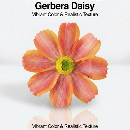 SUPERVALUECHOICE HCSERA00003 Fabric Gerbera Daisy Flower Appliques | DIY Handcraft Patches for Clothes, Hats & Brooch DIY